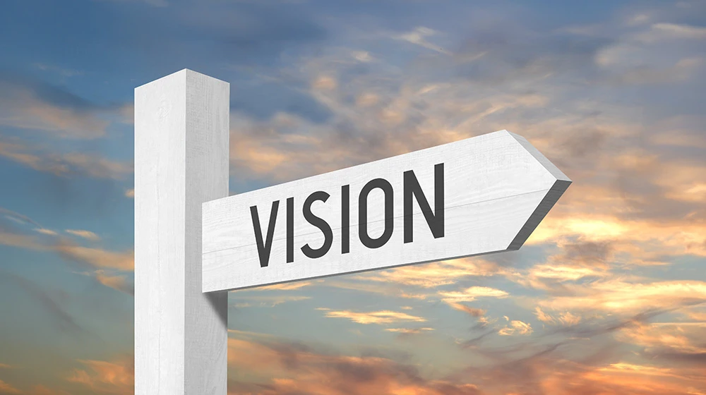 Vision